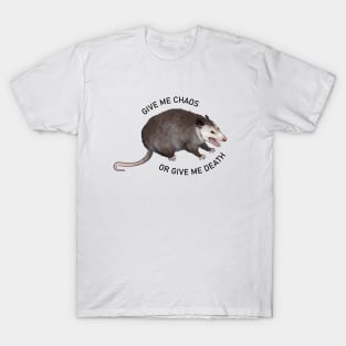 Chaotic Screaming Possum T-Shirt